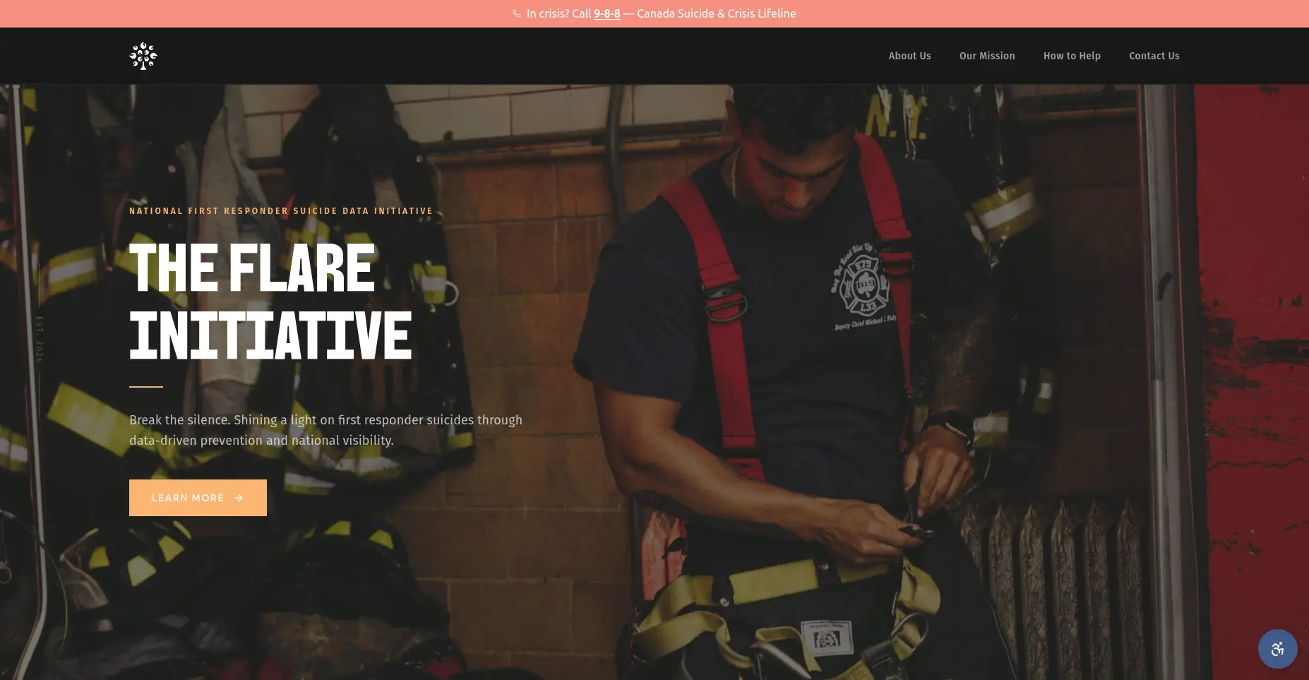 The Flare Initiative